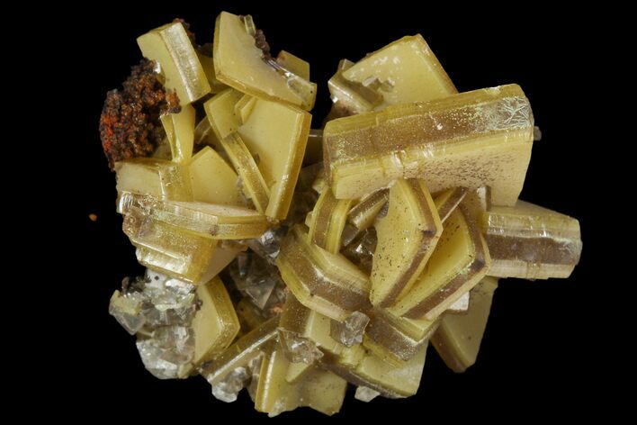 Sandwich Wulfenite Crystal Cluster - Ojuela Mine, Mexico #103465